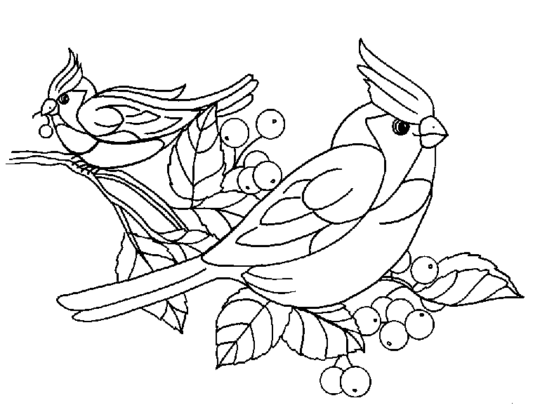 Disegno da colorare: Uccelli (Animali) #11926 - Pagine da Colorare Stampabili Gratuite