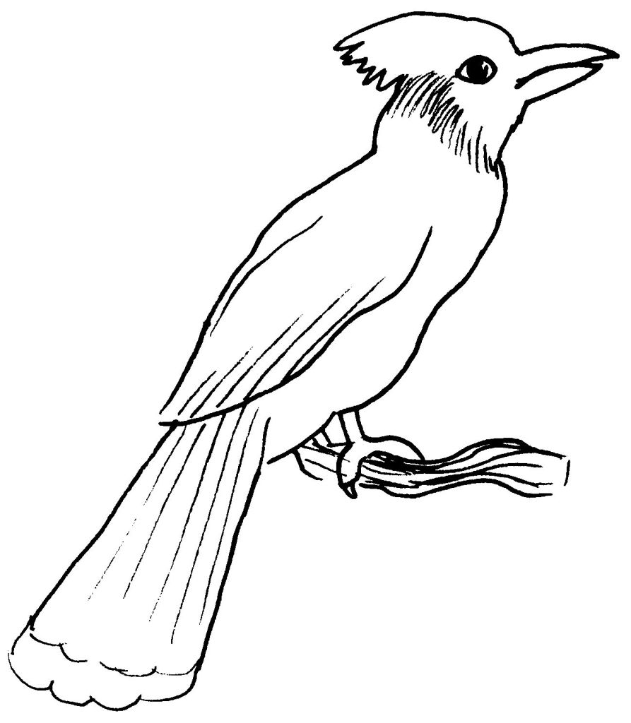 Disegno da colorare: Uccelli (Animali) #11947 - Pagine da Colorare Stampabili Gratuite