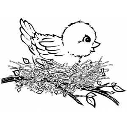 Disegno da colorare: Uccelli (Animali) #11952 - Pagine da Colorare Stampabili Gratuite