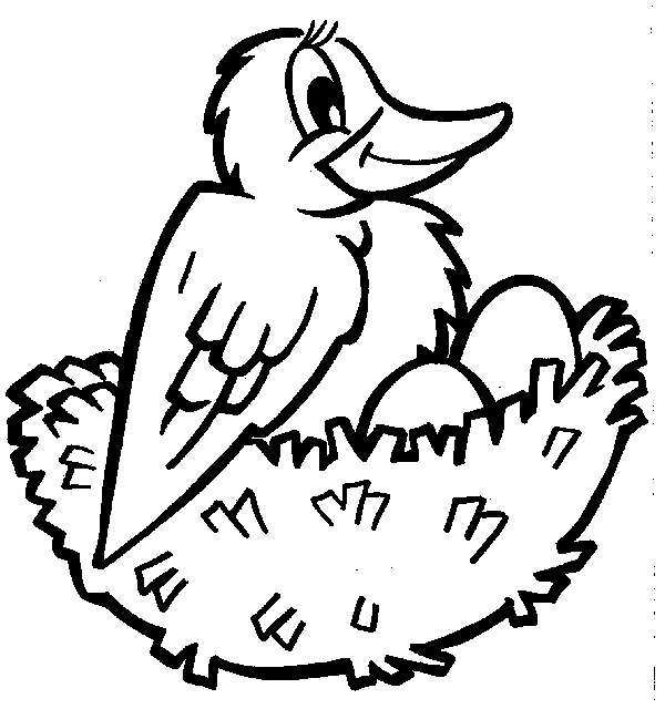 Disegno da colorare: Uccelli (Animali) #11958 - Pagine da Colorare Stampabili Gratuite