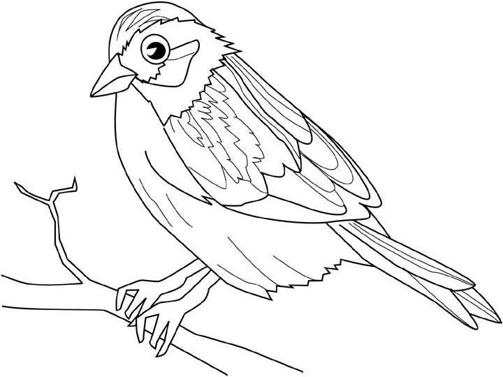 Disegno da colorare: Uccelli (Animali) #11961 - Pagine da Colorare Stampabili Gratuite