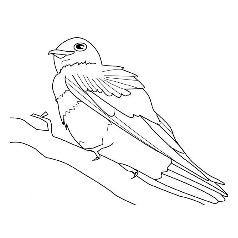 Disegno da colorare: Uccelli (Animali) #11962 - Pagine da Colorare Stampabili Gratuite