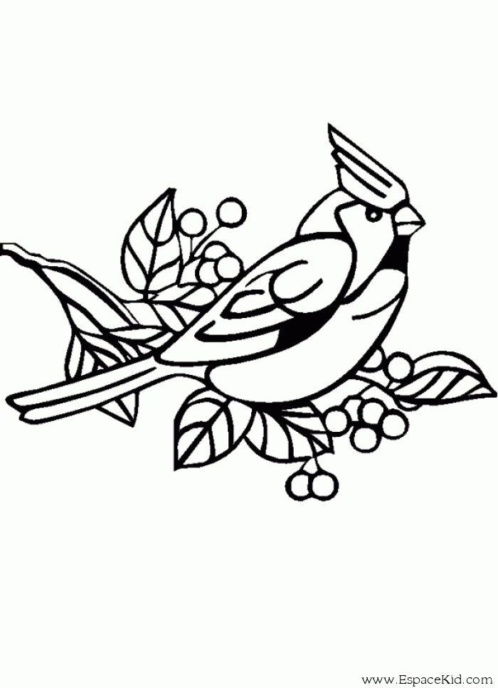 Disegno da colorare: Uccelli (Animali) #11969 - Pagine da Colorare Stampabili Gratuite