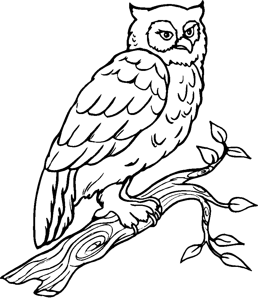 Disegno da colorare: Uccelli (Animali) #11974 - Pagine da Colorare Stampabili Gratuite