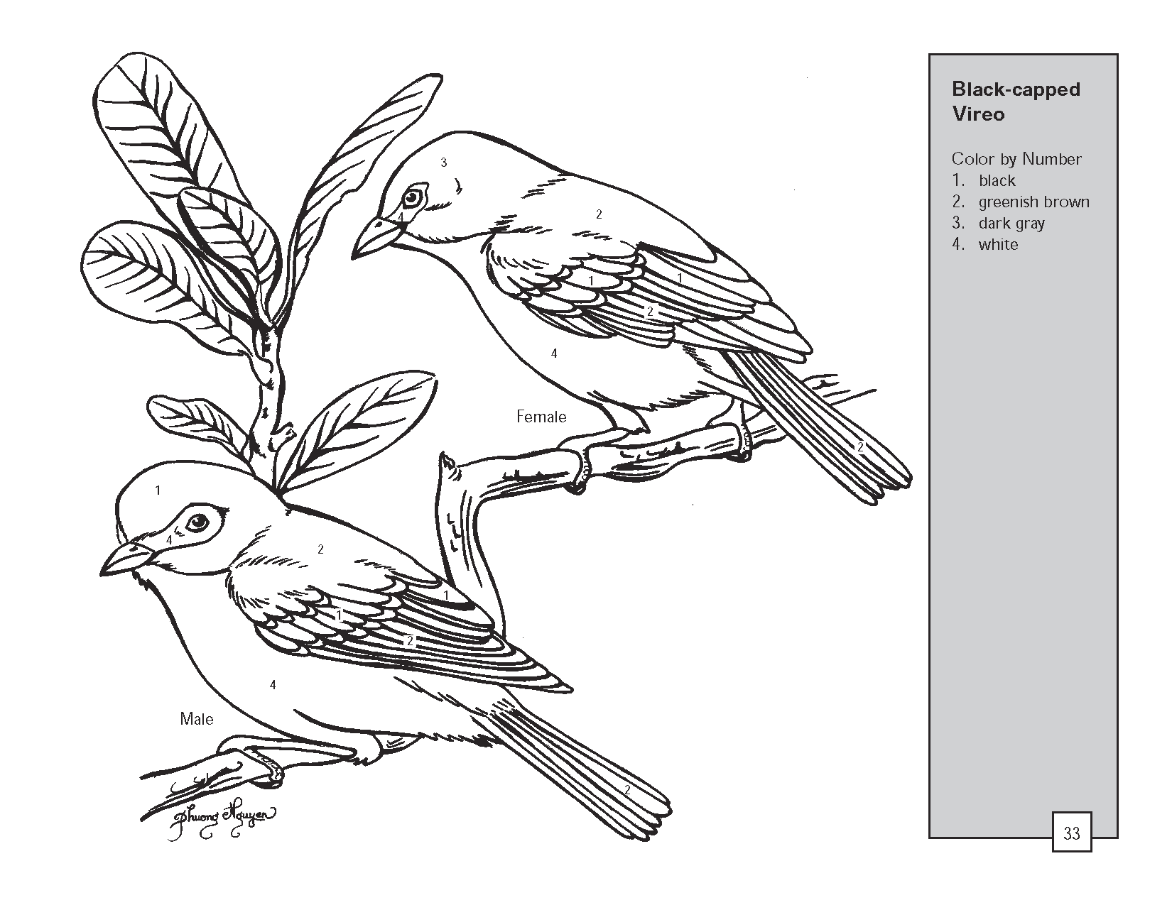 Disegno da colorare: Uccelli (Animali) #11981 - Pagine da Colorare Stampabili Gratuite