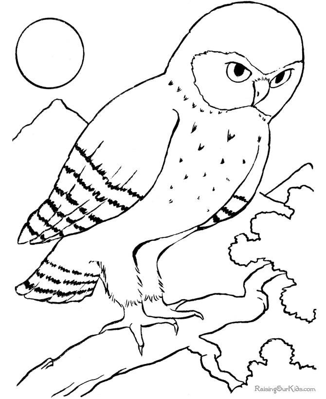 Disegno da colorare: Uccelli (Animali) #11990 - Pagine da Colorare Stampabili Gratuite