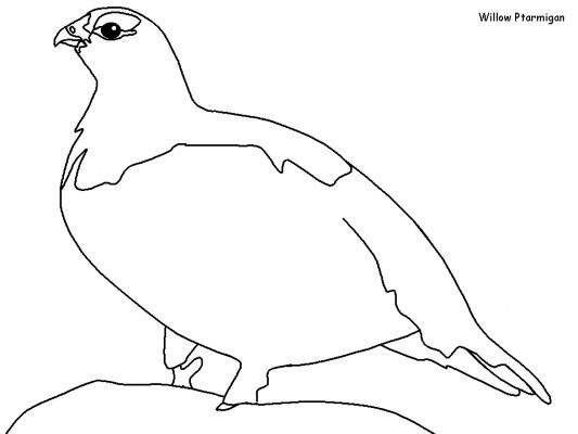 Disegno da colorare: Uccelli (Animali) #11991 - Pagine da Colorare Stampabili Gratuite
