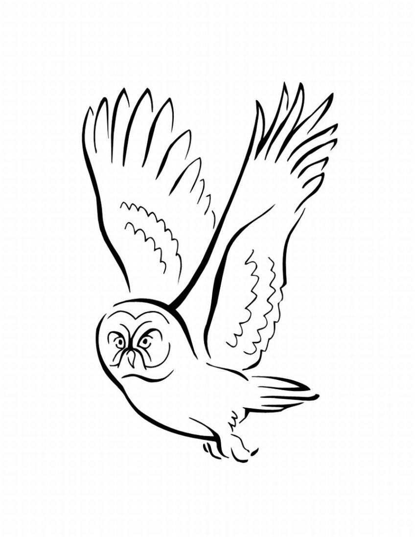 Disegno da colorare: Uccelli (Animali) #11992 - Pagine da Colorare Stampabili Gratuite