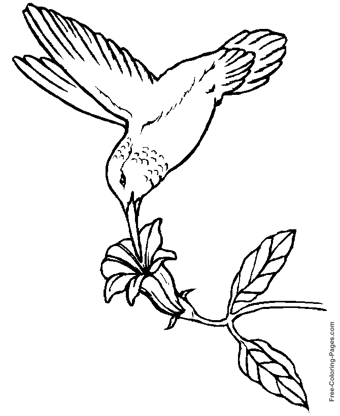 Disegno da colorare: Uccelli (Animali) #11994 - Pagine da Colorare Stampabili Gratuite