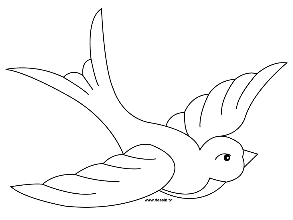 Disegno da colorare: Uccelli (Animali) #11998 - Pagine da Colorare Stampabili Gratuite