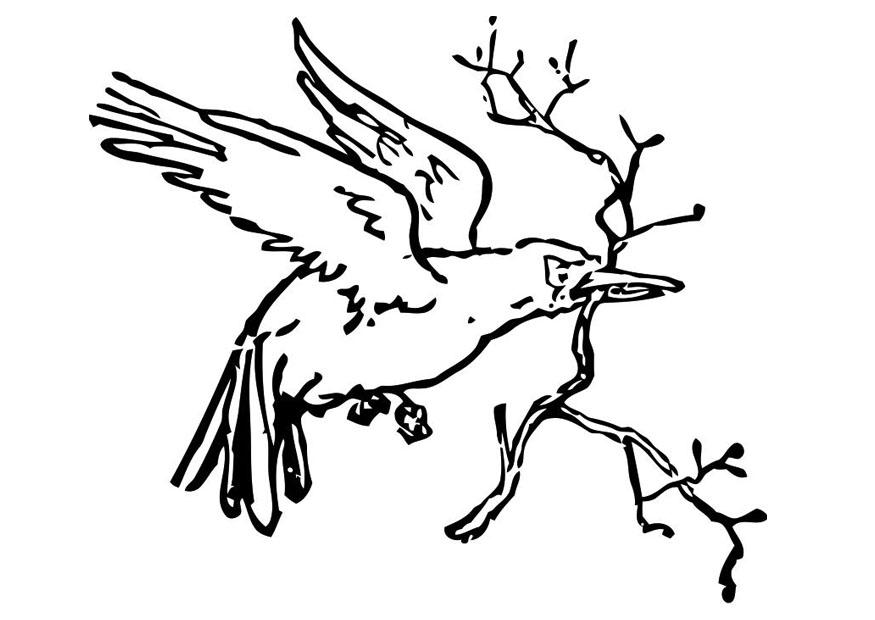 Disegno da colorare: Uccelli (Animali) #12006 - Pagine da Colorare Stampabili Gratuite