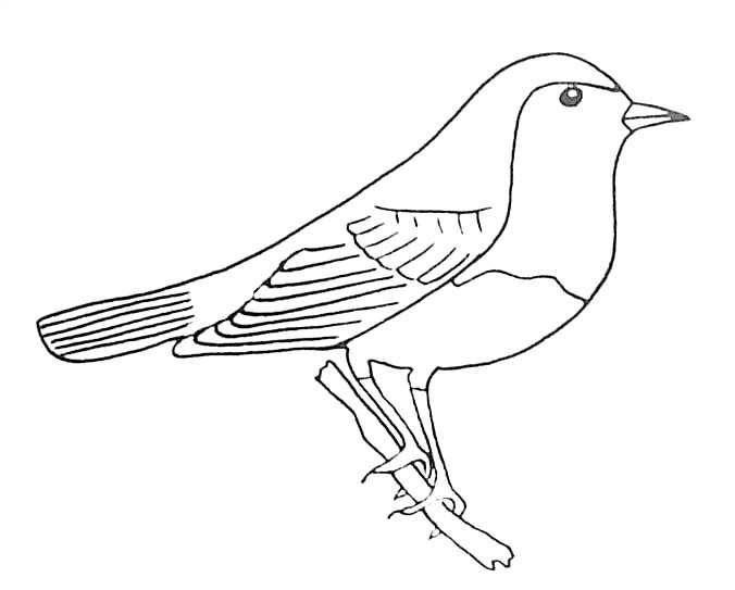 Disegno da colorare: Uccelli (Animali) #12021 - Pagine da Colorare Stampabili Gratuite