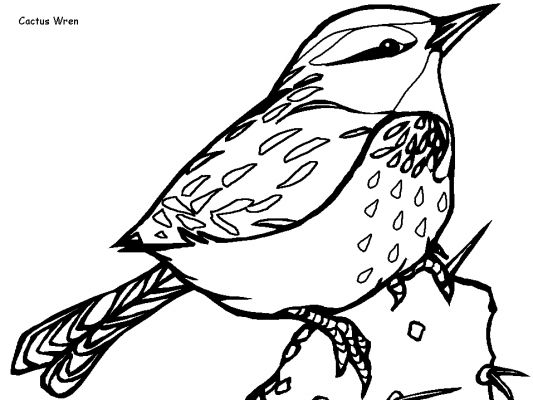 Disegno da colorare: Uccelli (Animali) #12026 - Pagine da Colorare Stampabili Gratuite