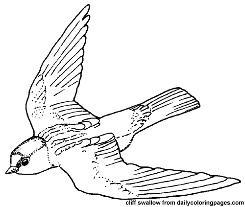 Disegno da colorare: Uccelli (Animali) #12029 - Pagine da Colorare Stampabili Gratuite