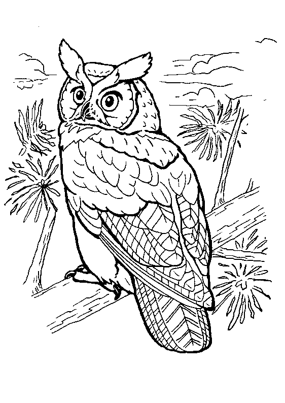 Disegno da colorare: Uccelli (Animali) #12054 - Pagine da Colorare Stampabili Gratuite