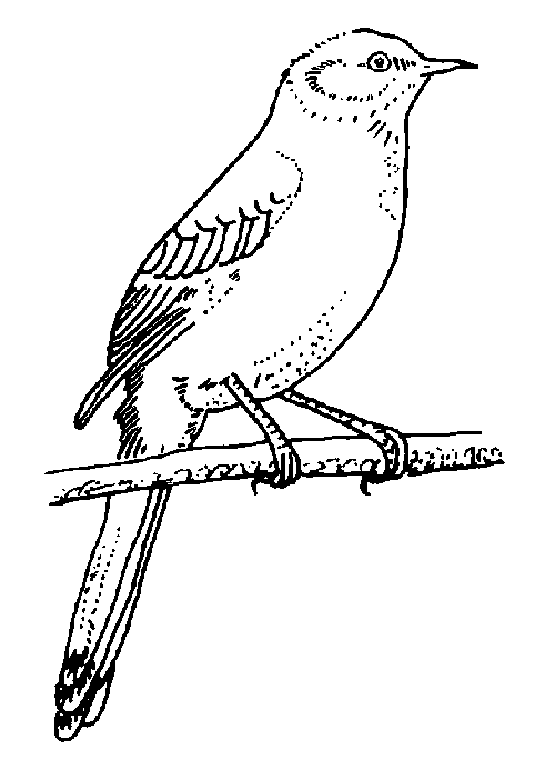 Disegno da colorare: Uccelli (Animali) #12060 - Pagine da Colorare Stampabili Gratuite