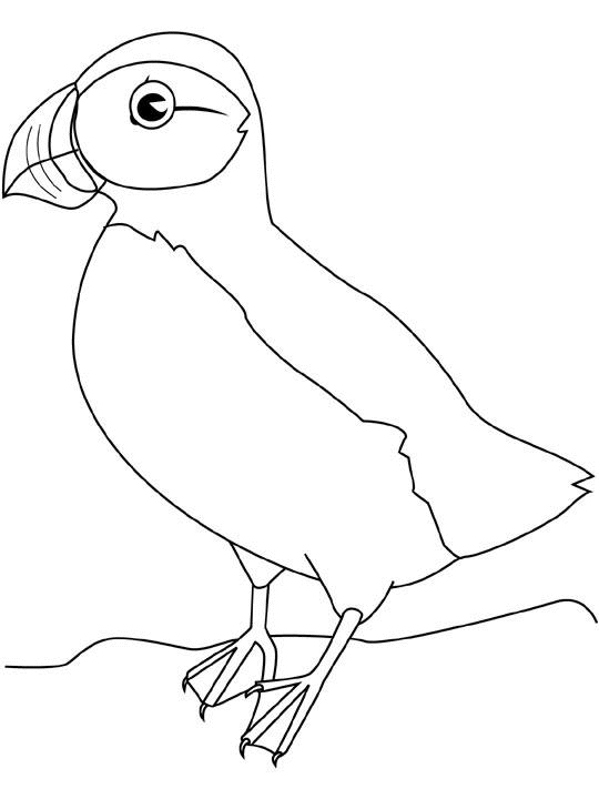 Disegno da colorare: Uccelli (Animali) #12098 - Pagine da Colorare Stampabili Gratuite