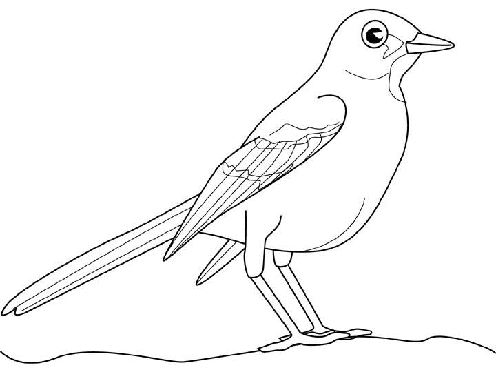 Disegno da colorare: Uccelli (Animali) #12131 - Pagine da Colorare Stampabili Gratuite