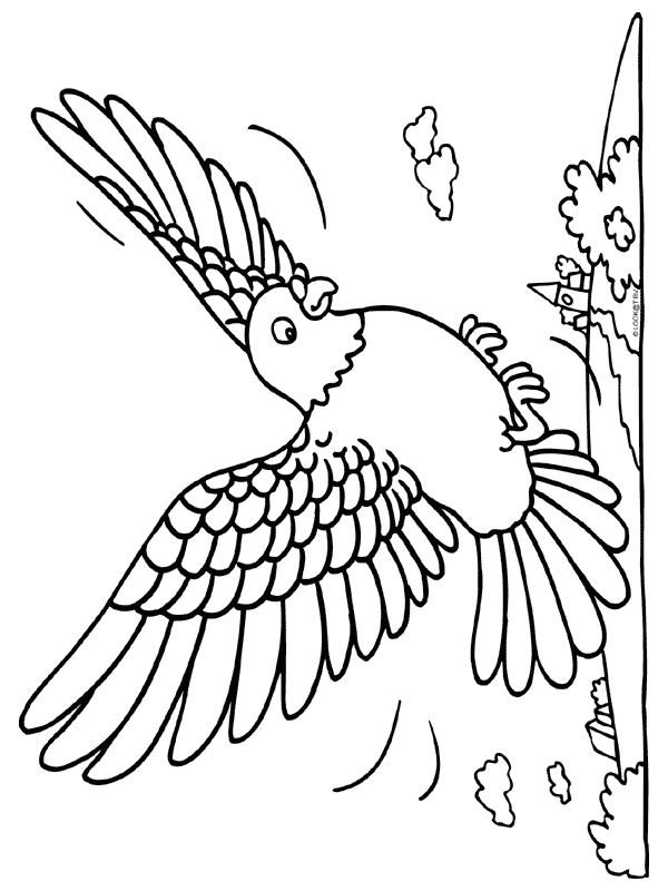 Disegno da colorare: Uccelli (Animali) #12132 - Pagine da Colorare Stampabili Gratuite