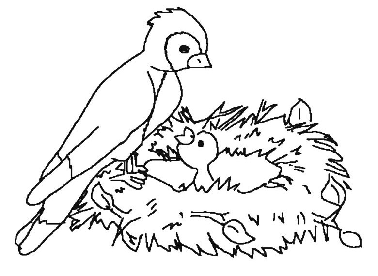Disegno da colorare: Uccelli (Animali) #12145 - Pagine da Colorare Stampabili Gratuite