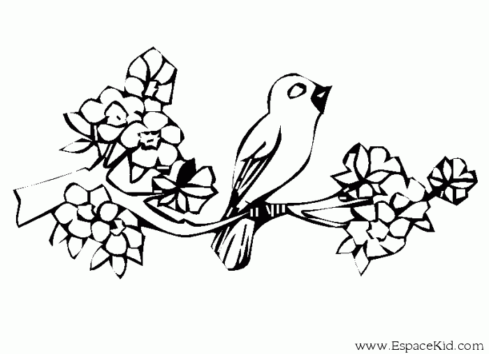 Disegno da colorare: Uccelli (Animali) #12147 - Pagine da Colorare Stampabili Gratuite