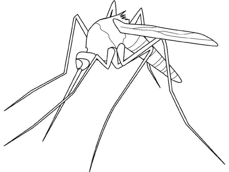 Disegno da colorare: Zanzara (Animali) #11320 - Pagine da Colorare Stampabili Gratuite