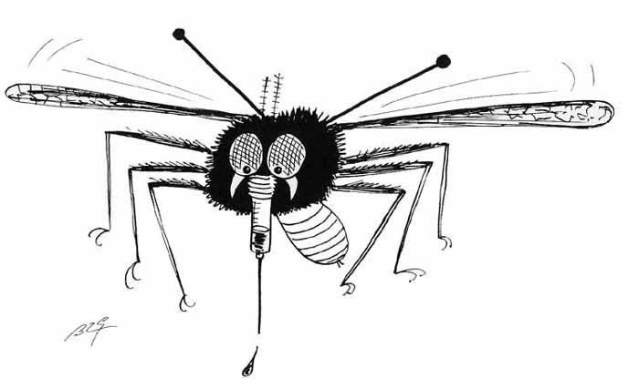 Disegno da colorare: Zanzara (Animali) #11341 - Pagine da Colorare Stampabili Gratuite
