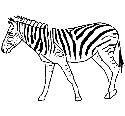Disegno da colorare: Zebra (Animali) #12953 - Pagine da Colorare Stampabili Gratuite