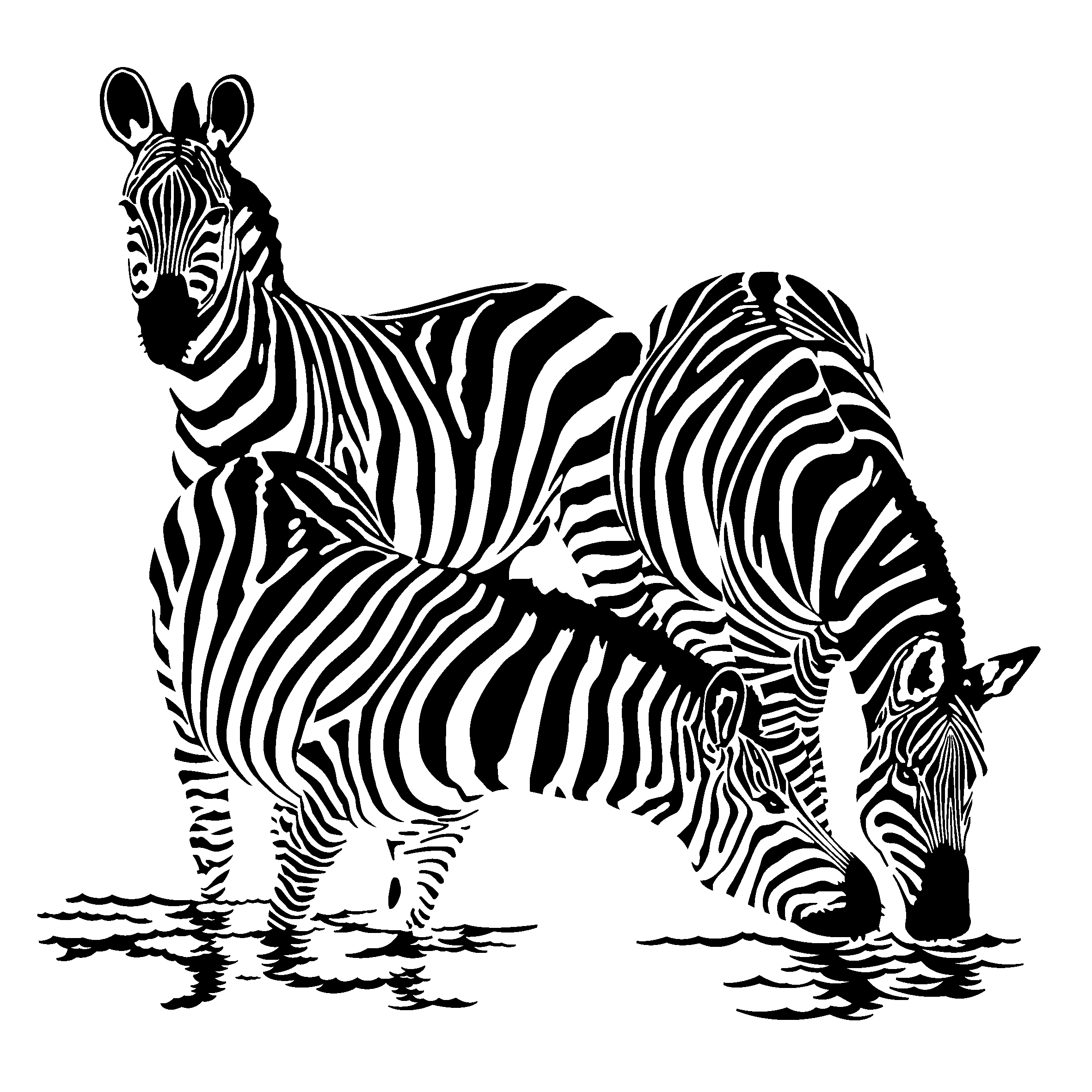 Disegno da colorare: Zebra (Animali) #12955 - Pagine da Colorare Stampabili Gratuite
