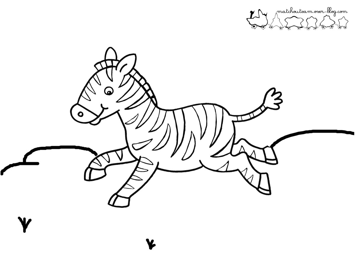 Disegno da colorare: Zebra (Animali) #12959 - Pagine da Colorare Stampabili Gratuite