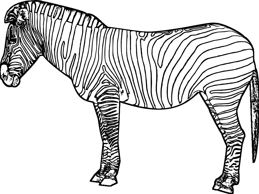 Disegno da colorare: Zebra (Animali) #12961 - Pagine da Colorare Stampabili Gratuite