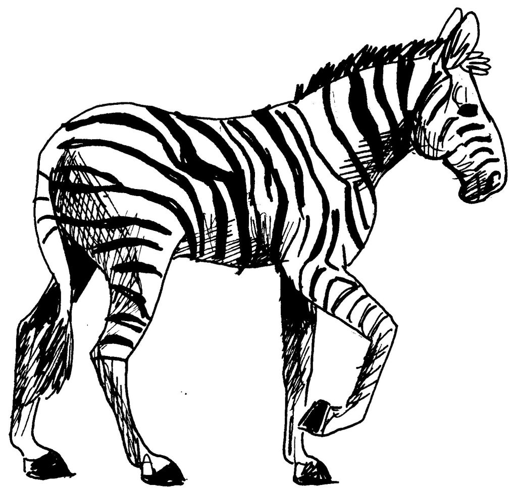 Disegno da colorare: Zebra (Animali) #12962 - Pagine da Colorare Stampabili Gratuite