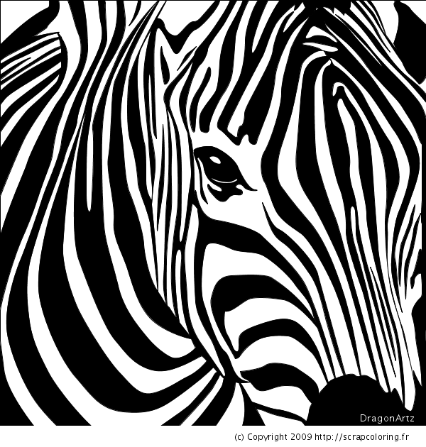 Disegno da colorare: Zebra (Animali) #12965 - Pagine da Colorare Stampabili Gratuite