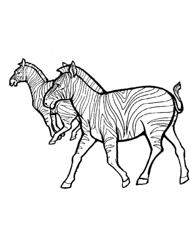 Disegno da colorare: Zebra (Animali) #12974 - Pagine da Colorare Stampabili Gratuite