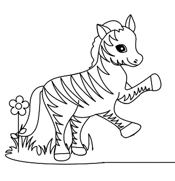 Disegno da colorare: Zebra (Animali) #12986 - Pagine da Colorare Stampabili Gratuite
