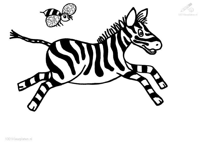 Disegno da colorare: Zebra (Animali) #13003 - Pagine da Colorare Stampabili Gratuite