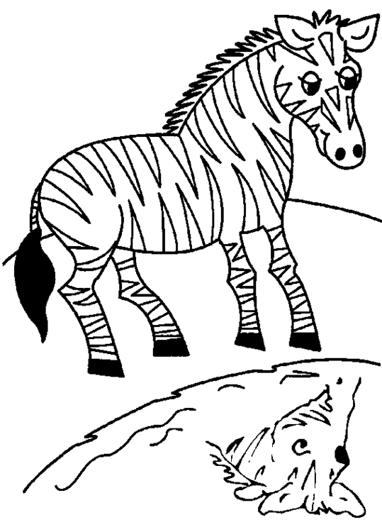 Disegno da colorare: Zebra (Animali) #13013 - Pagine da Colorare Stampabili Gratuite