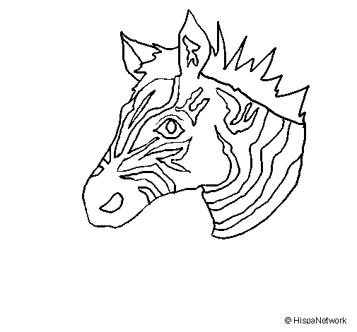 Disegno da colorare: Zebra (Animali) #13017 - Pagine da Colorare Stampabili Gratuite