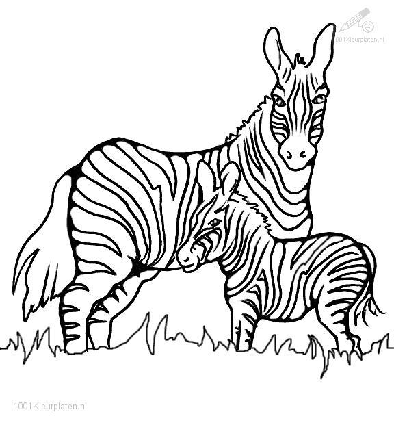 Disegno da colorare: Zebra (Animali) #13023 - Pagine da Colorare Stampabili Gratuite