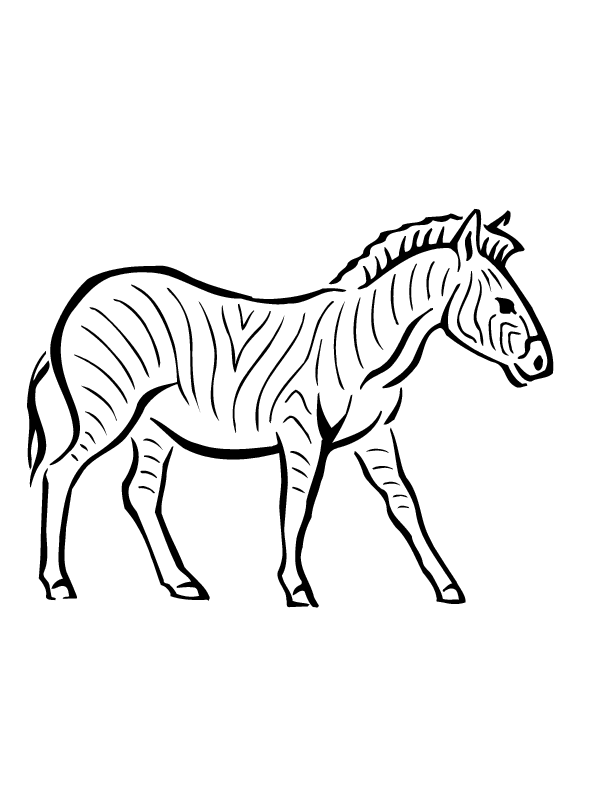 Disegno da colorare: Zebra (Animali) #13032 - Pagine da Colorare Stampabili Gratuite