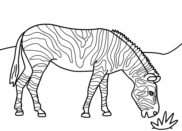 Disegno da colorare: Zebra (Animali) #13035 - Pagine da Colorare Stampabili Gratuite