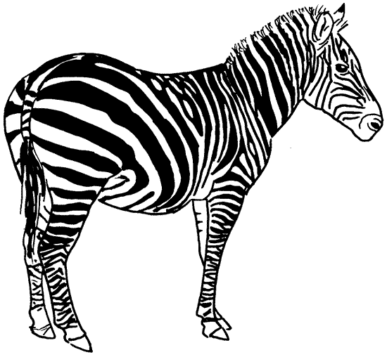 Disegno da colorare: Zebra (Animali) #13039 - Pagine da Colorare Stampabili Gratuite
