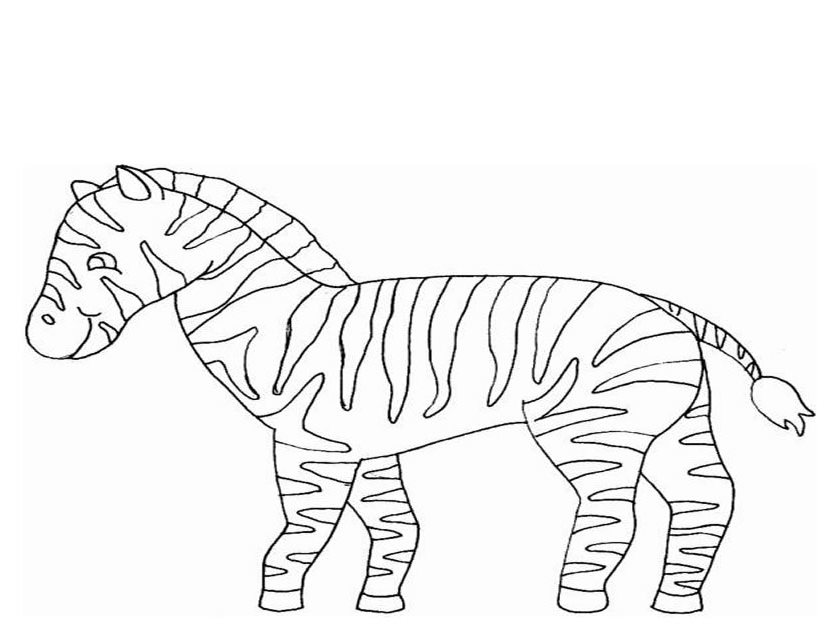 Disegno da colorare: Zebra (Animali) #13065 - Pagine da Colorare Stampabili Gratuite