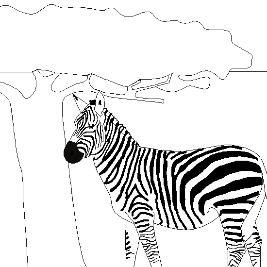 Disegno da colorare: Zebra (Animali) #13075 - Pagine da Colorare Stampabili Gratuite