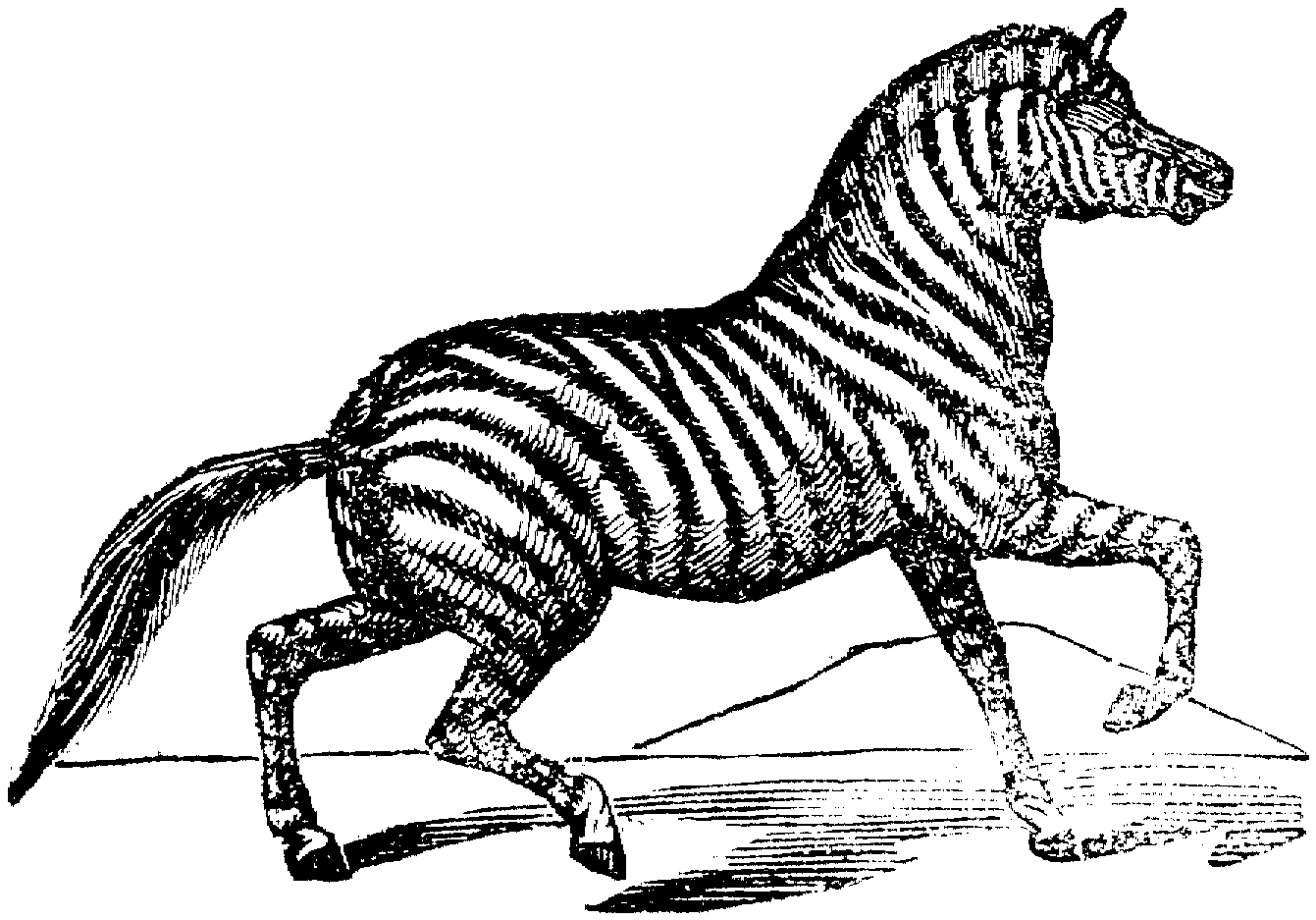 Disegno da colorare: Zebra (Animali) #13077 - Pagine da Colorare Stampabili Gratuite