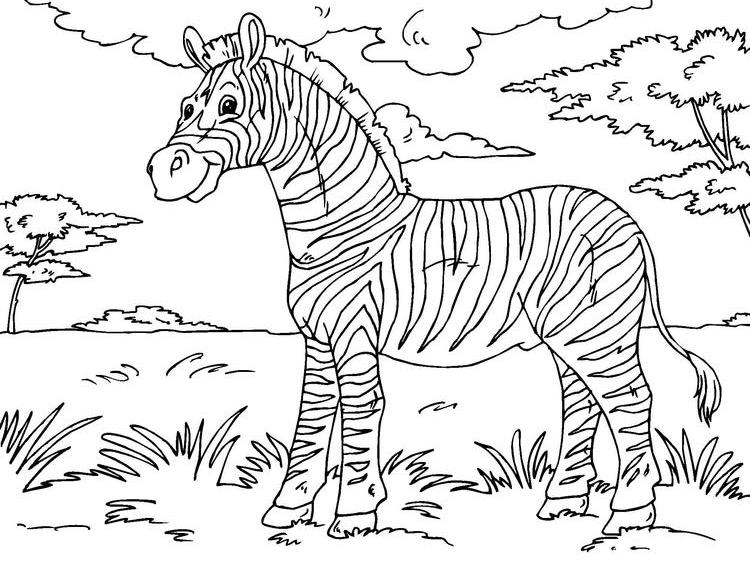 Disegno da colorare: Zebra (Animali) #13087 - Pagine da Colorare Stampabili Gratuite