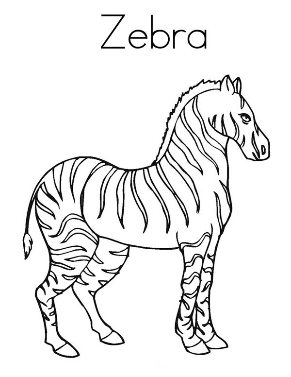 Disegno da colorare: Zebra (Animali) #13096 - Pagine da Colorare Stampabili Gratuite