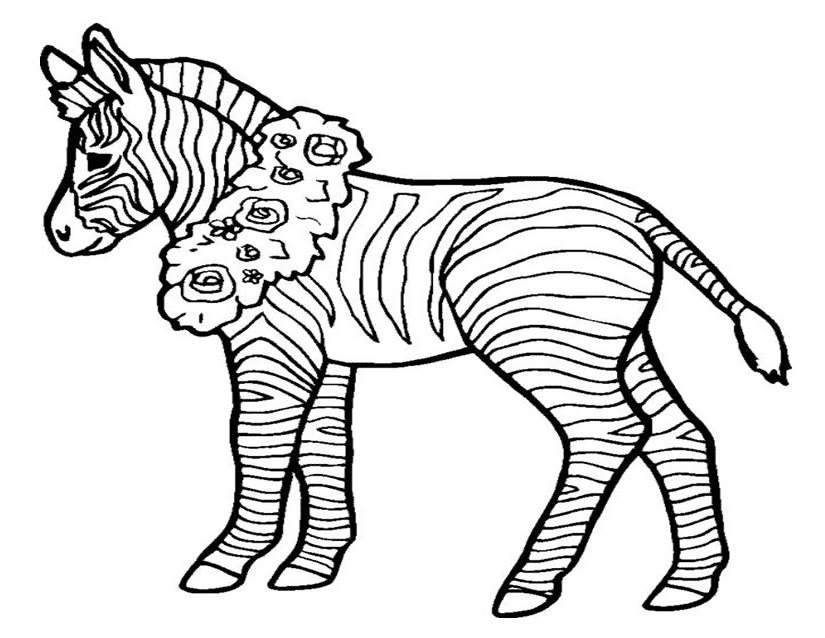 Disegno da colorare: Zebra (Animali) #13097 - Pagine da Colorare Stampabili Gratuite