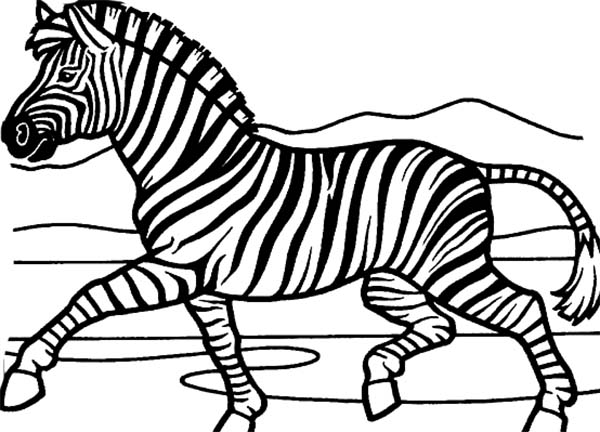 Disegno da colorare: Zebra (Animali) #13120 - Pagine da Colorare Stampabili Gratuite