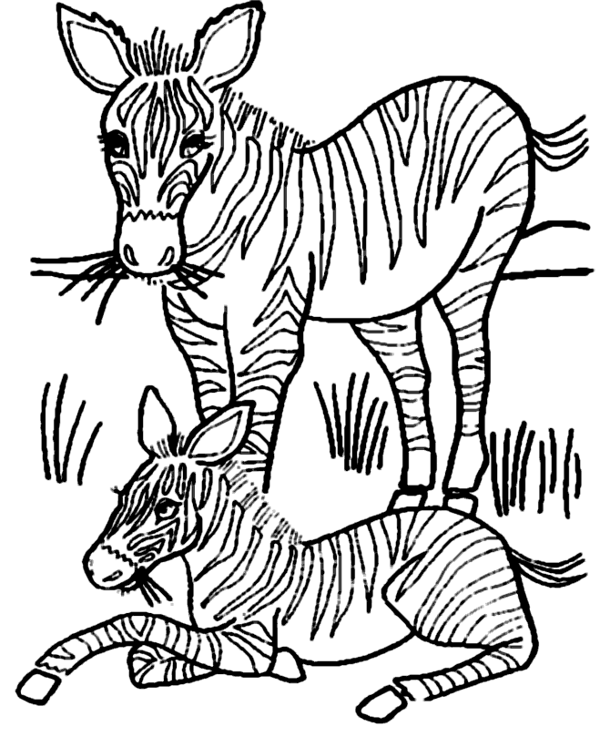 Disegno da colorare: Zebra (Animali) #13130 - Pagine da Colorare Stampabili Gratuite